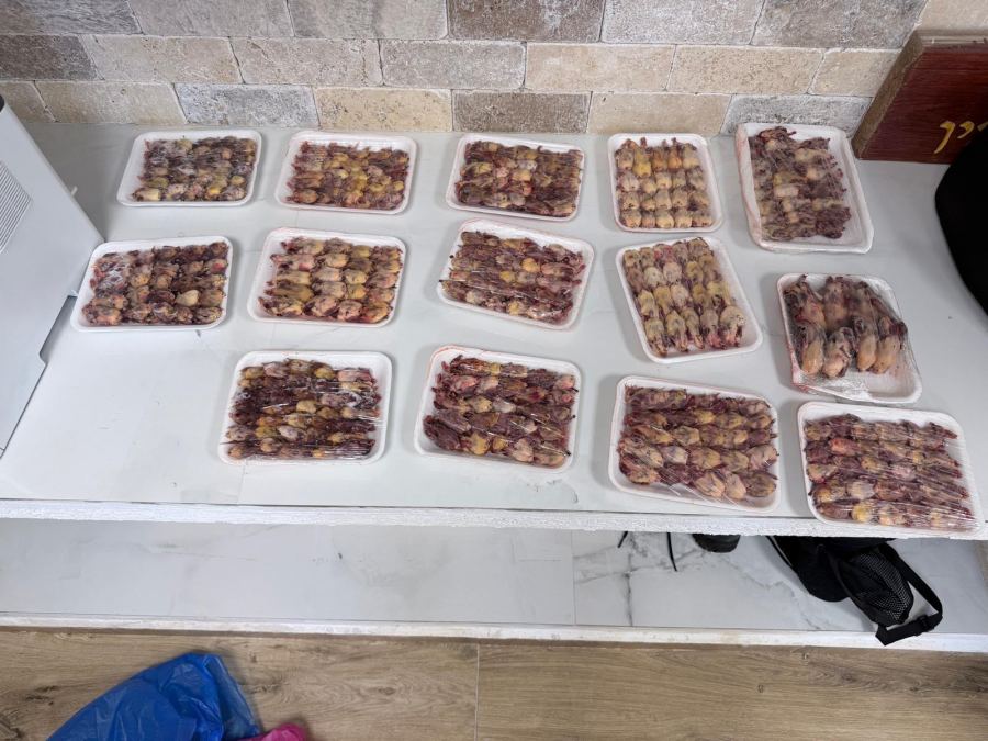 الاشتباه بالاتجار بآلاف الطيور المحمية: توقيف مشتبه بهما من أم الفحم وعانين